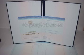 Диплом о Высшем Образовании 2024г СпецБланк в Ижевске