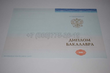 Диплом Бакалавра СпецБланк 2024г в Ижевске