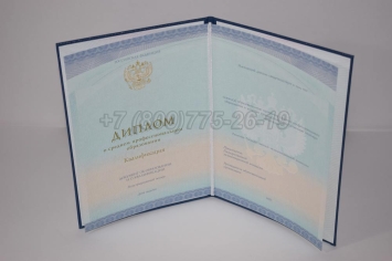 Диплом Техникума 2023г СпецБланк в Ижевске