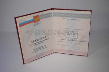 Аттестат За 11 Класс 2011г Серебро в Ижевске