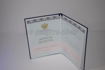 Диплом Магистра 2018г ООО "Знак" в Ижевске