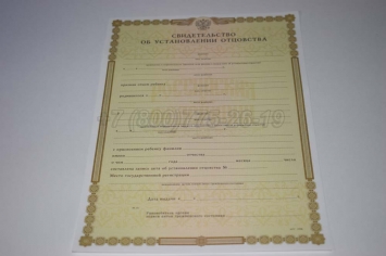 Свидетельство об Установлении Отцовства 2019г в Ижевске