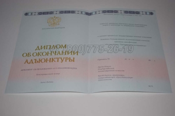 Диплом Адъюнктуры 2024г в Ижевске
