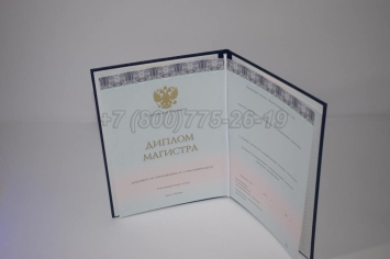 Диплом Магистра 2024г ООО "Знак" в Ижевске