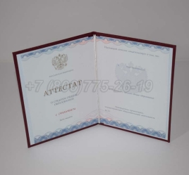 Аттестат За 11 Класс 2024г Золото ГОЗНАК в Ижевске